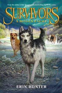 Erin Hunter — A Hidden Enemy