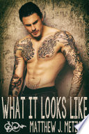 Matthew J. Metzger — What It Looks Like