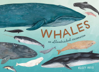 Kelsey Oseid — Whales
