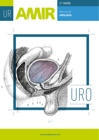 Autores Varios — Manual de urología