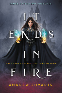 Shvarts, Andrew — It Ends in Fire