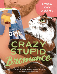 Lyssa Kay Adams — (Bromance Book Club 3) Louco e Estúpido Bromance (Crazy Stupid Bromance)