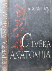 Anatolijs Stankovs — Cilvēka anatomija