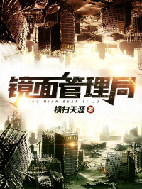 横扫天涯 — 镜面管理局