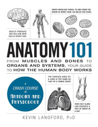 Langford, Kevin — Anatomy 101: From Muscles and Bones to Organs and Systems, Your Guide to How the Human Body Works