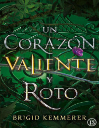 Brigid Kemmerer — Un corazón valiente y roto
