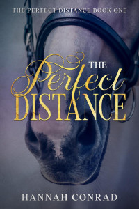Hannah Conrad — The Perfect Distance
