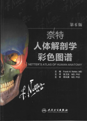 奈特人体解剖学彩色图谱 (Netter\’s Atlas of Human Anatomy)-藏书阁