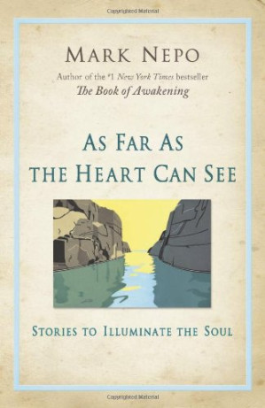 Cover for As Far As the Heart Can See: Stories to Illuminate the Soul