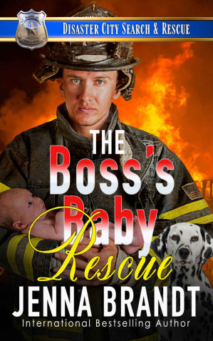 The Boss's Baby Rescue: A K9 Handler Romance 28 - 安娜的档案