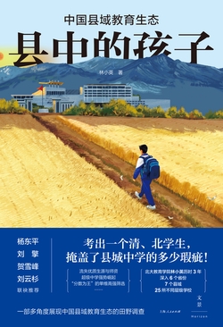县中的孩子：中国县域教育生态-藏书阁