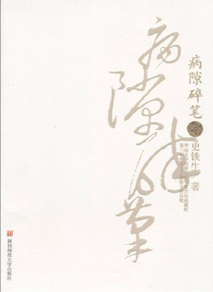 病隙碎笔(修订版)-藏书阁