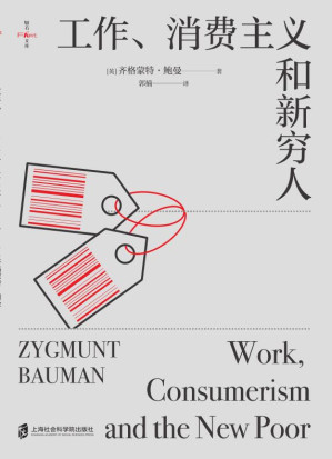 工作、消费主义和新穷人 = Work, Consumerism and the New Poor-藏书阁