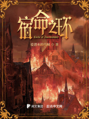 《宿命之环》 Cover