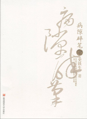 病隙碎笔(修订版)-藏书阁