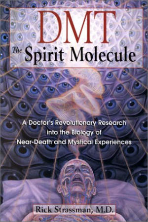 DMT: The Spirit Molecule: A Doctor's Revolutionary Research into the ...