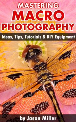 Mastering Macro Photography: Ideas, Tips, Tutorials & DIY Equipment ...