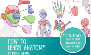 How to Learn Anatomy | Mitch Leeuwe | download on Z-Library