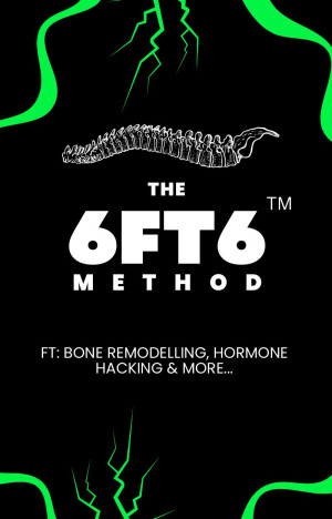 6FT6 Method | samdixon17 | download on Z-Library